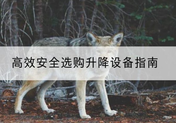 三都升降货梯厂家推荐-*安全选购升降设备指南