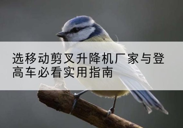 三都电动升降机厂家-选移动剪叉升降机厂家与登高车必看实用指南