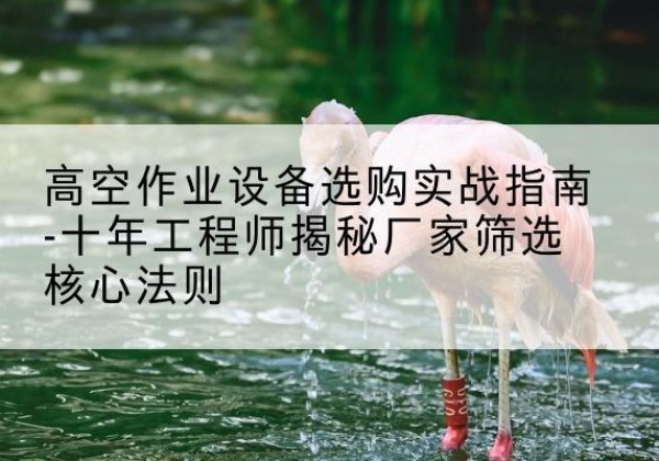 三都剪叉式升降机厂家-高空作业设备选购实战指南-十年工程师揭秘厂家筛选核心法则
